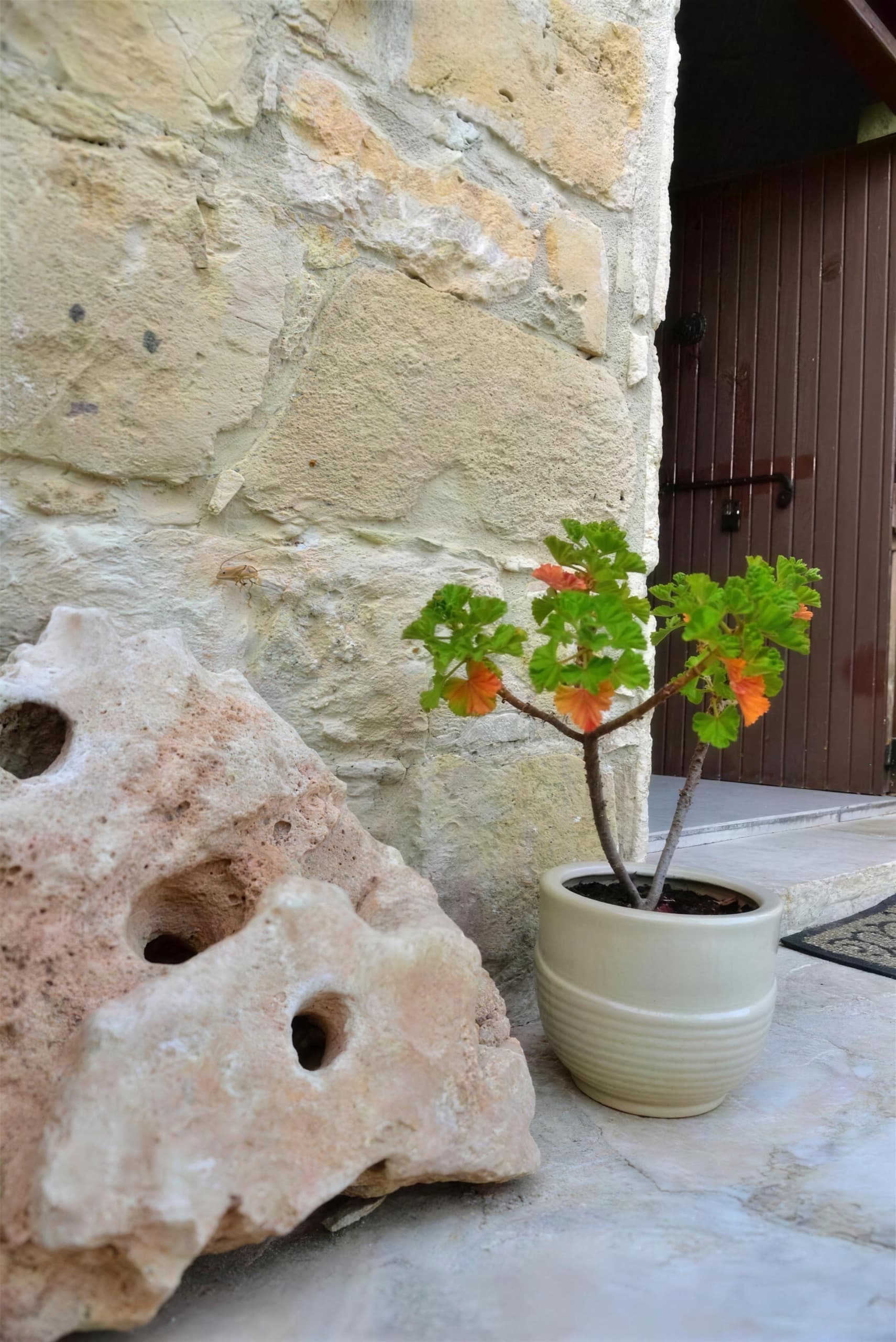 Πέτρινος τοίχος και παλιά ξύλινη πόρτα του σπιτιού